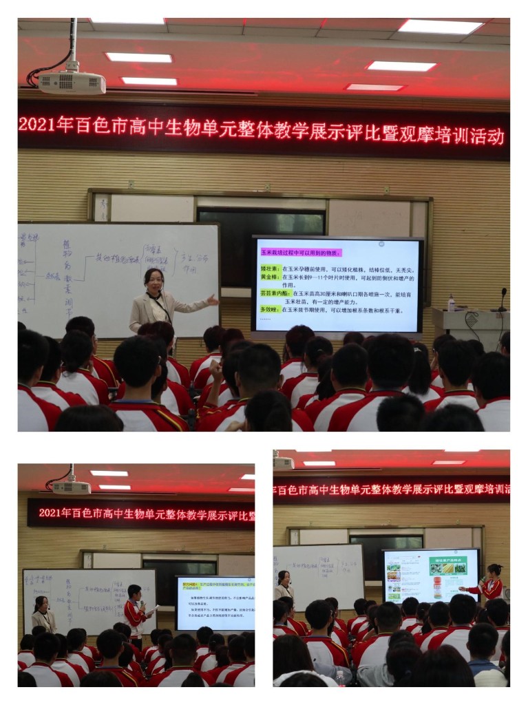 图片7