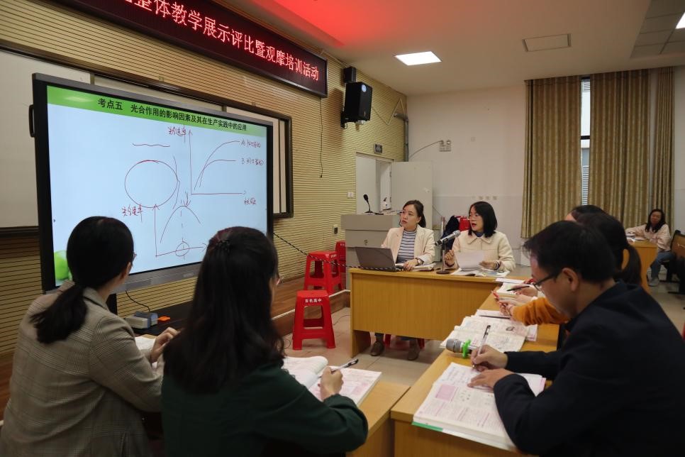 图片12