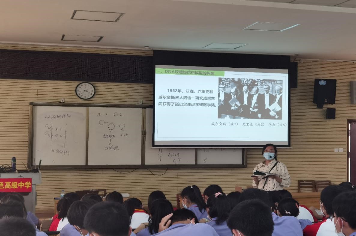 图片5