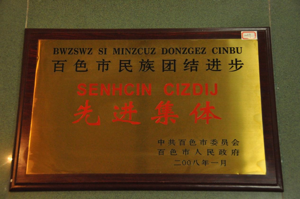 2008年百色市民族团结进步先进集体