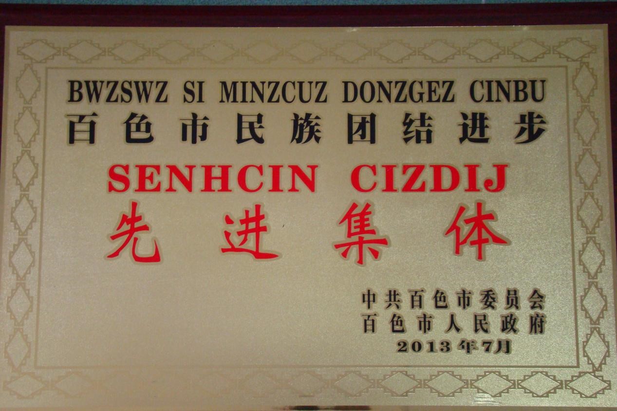 2013年百色市民族团结进步先进集体