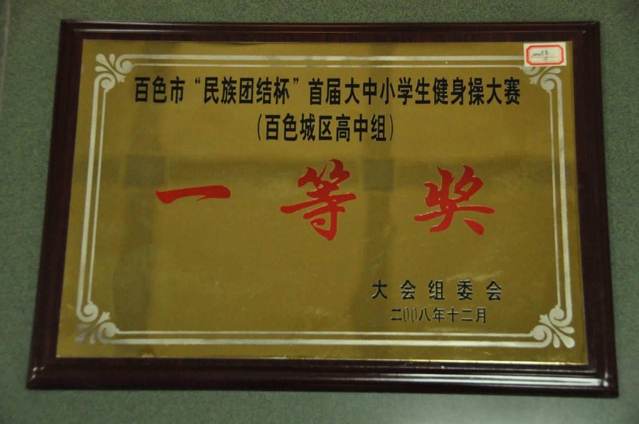 2008年百色市“民族团结杯”首届大中小学生健身操大赛