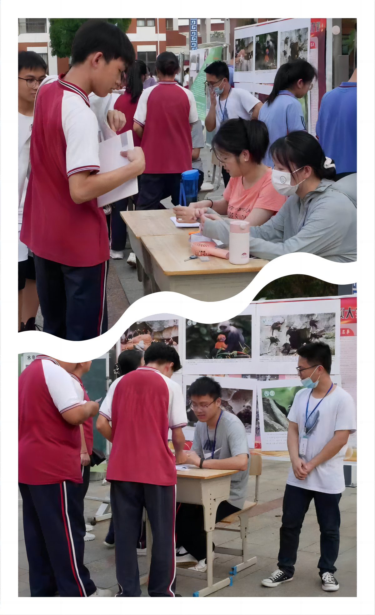WPS拼图1(1).png