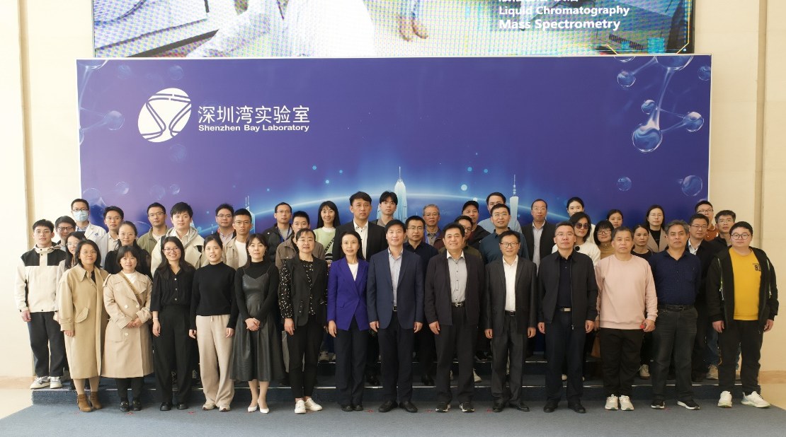 图片10