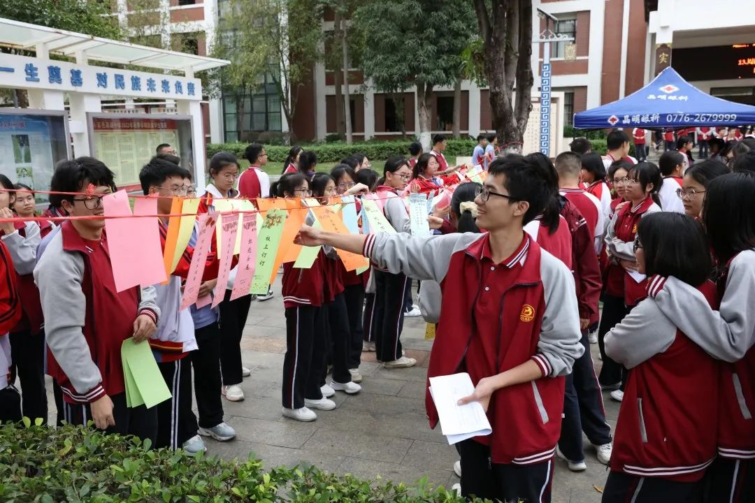 图片13