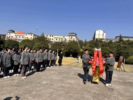 图片7