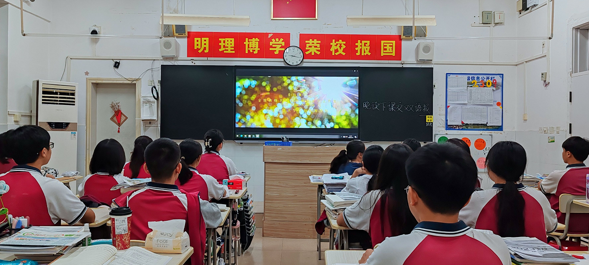 图片12
