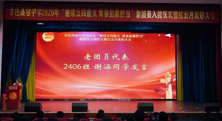 图片8