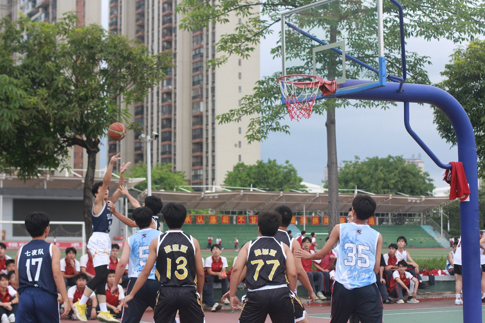 图片5