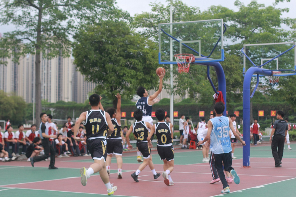 图片7