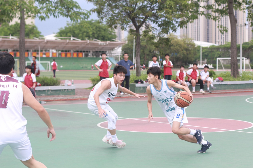 图片9