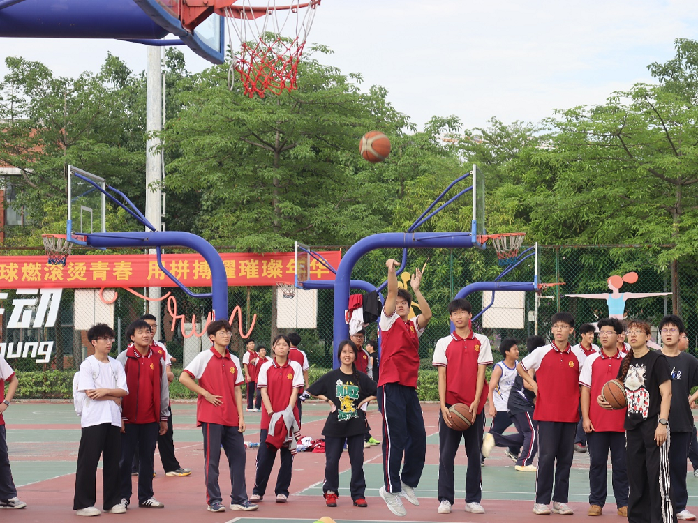 图片12